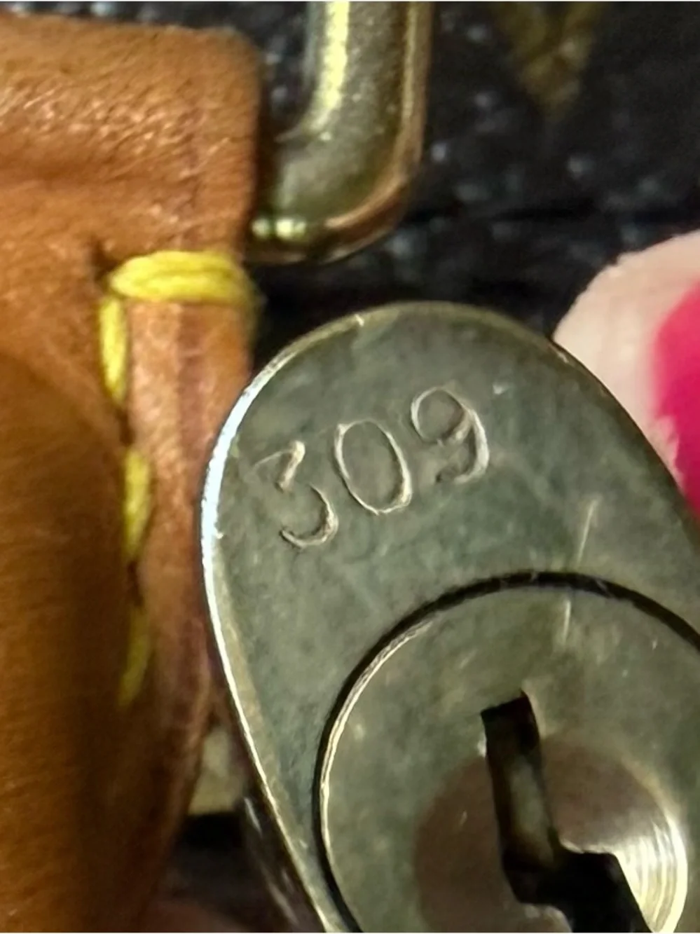 Louis Vuitton Brown Monogram Alma PM Tote Bag LV